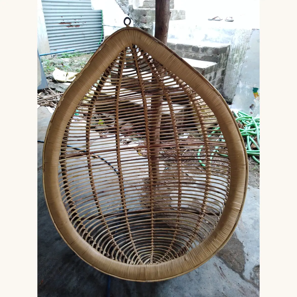 papaya swing cane SM-123